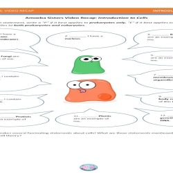 A tour inside the cell worksheet answers