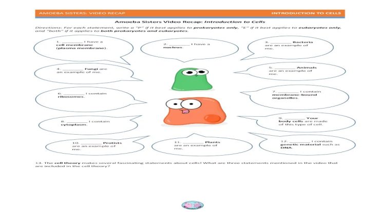 A tour inside the cell worksheet answers