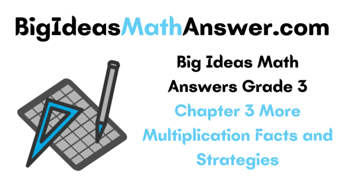 Big ideas math chapter 3 test a answers