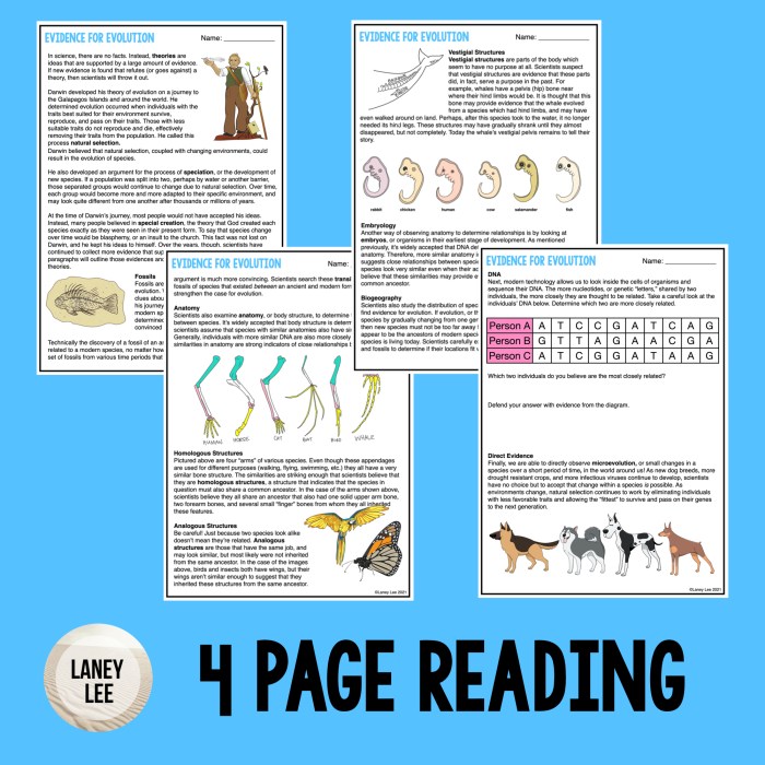 Evidence for evolution worksheet answers