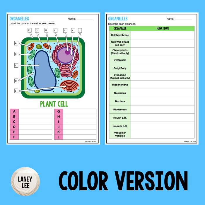 A tour inside the cell worksheet answers