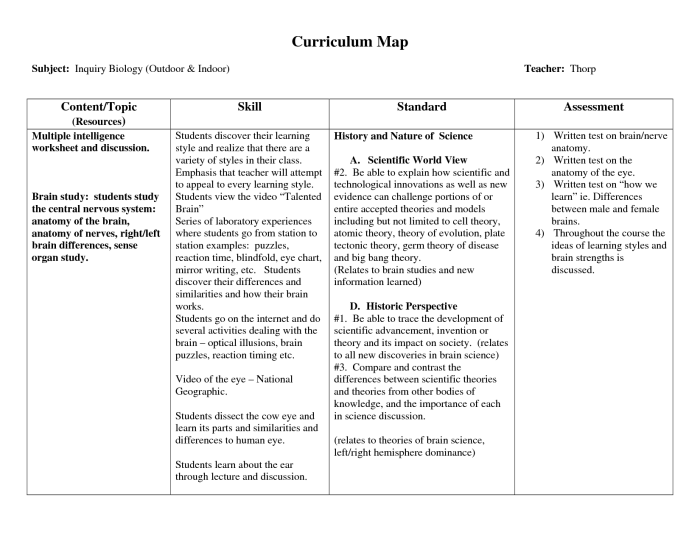 Cell city analogy worksheet pdf