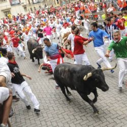 Pamplona bulls fermin gored