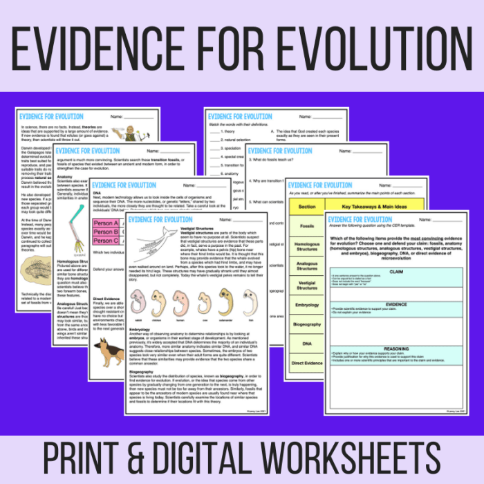 Evidence for evolution worksheet answers