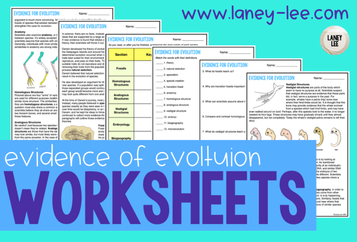 Evidence for evolution worksheet answers