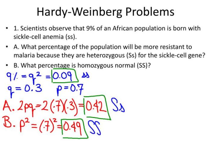 Hardy weinberg problem set mice answer key