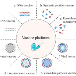 Webquest viruses and vaccines answer key