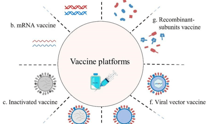 Webquest viruses and vaccines answer key