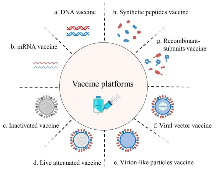 Webquest viruses and vaccines answer key