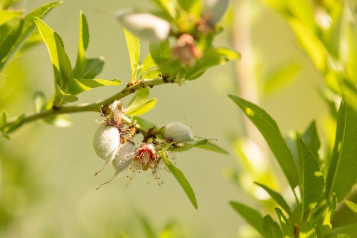 What are the benefits of preserving farmland