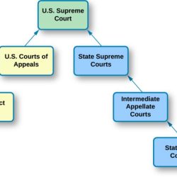 Appellate courts let's take it up crossword answers