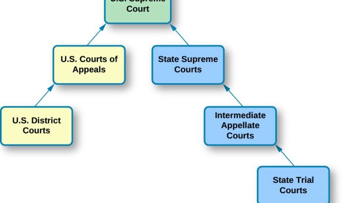 Appellate courts let's take it up crossword answers