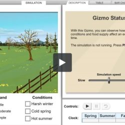 Rabbit population by season gizmo answer key