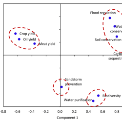 Complex ecosystem transformations quick check